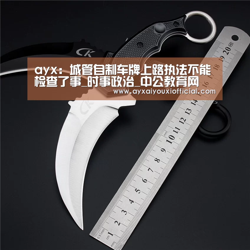 ayx:城管自制车牌上路执法不能检查了事_时事政治_中公教育网(图3) 爱游戏中国官网