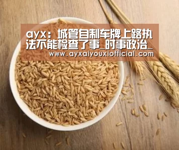 ayx:城管自制车牌上路执法不能检查了事_时事政治_中公教育网(图4) ayx:城管自制车牌上路执法不能检查了事_时事政治_中公教育网(图4)