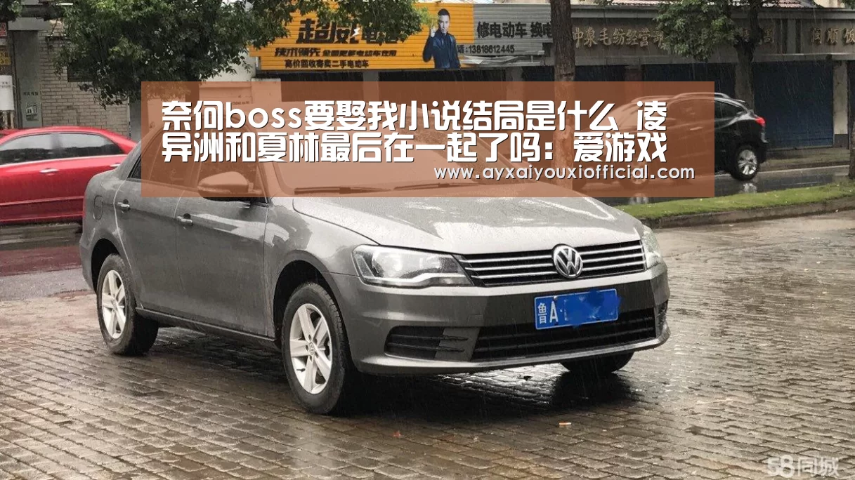 奈何boss要娶我小说结局是什么 凌异洲和夏林最后在一起了吗:爱游戏中国官网(图1) 爱游戏全站
