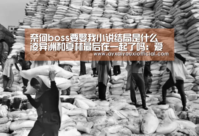 奈何boss要娶我小说结局是什么 凌异洲和夏林最后在一起了吗:爱游戏中国官网(图2) 爱游戏全站