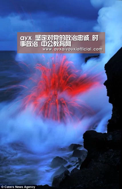 ayx_坚定对党的政治忠诚_时事政治_中公教育网(图1) ayx_坚定对党的政治忠诚_时事政治_中公教育网(图1)